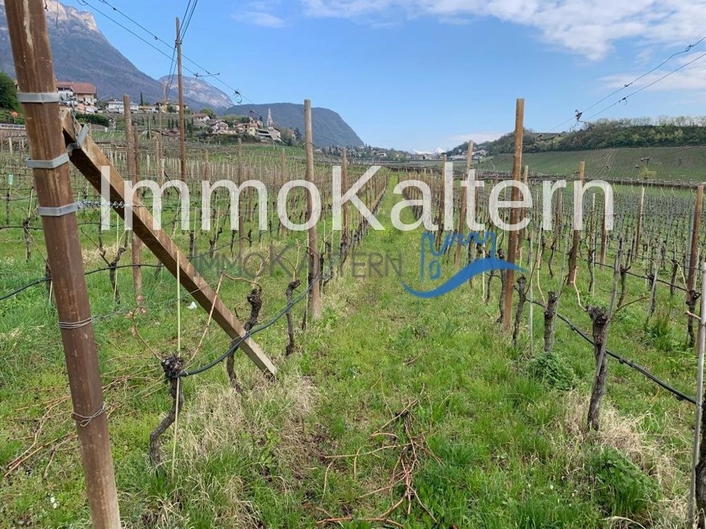 2987m² Weinbau in Kaltern zu verkaufen
