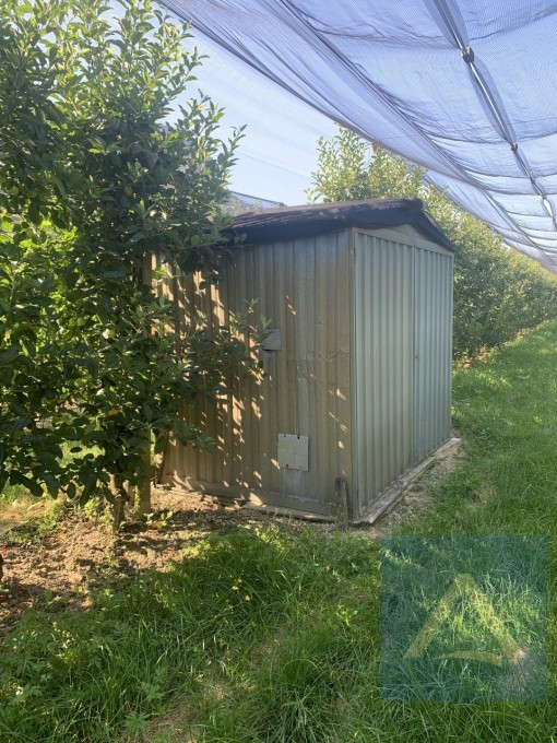 Apfelwiese 4.250 m² (mit Hagelnetz) in Tramin zu verkaufen
