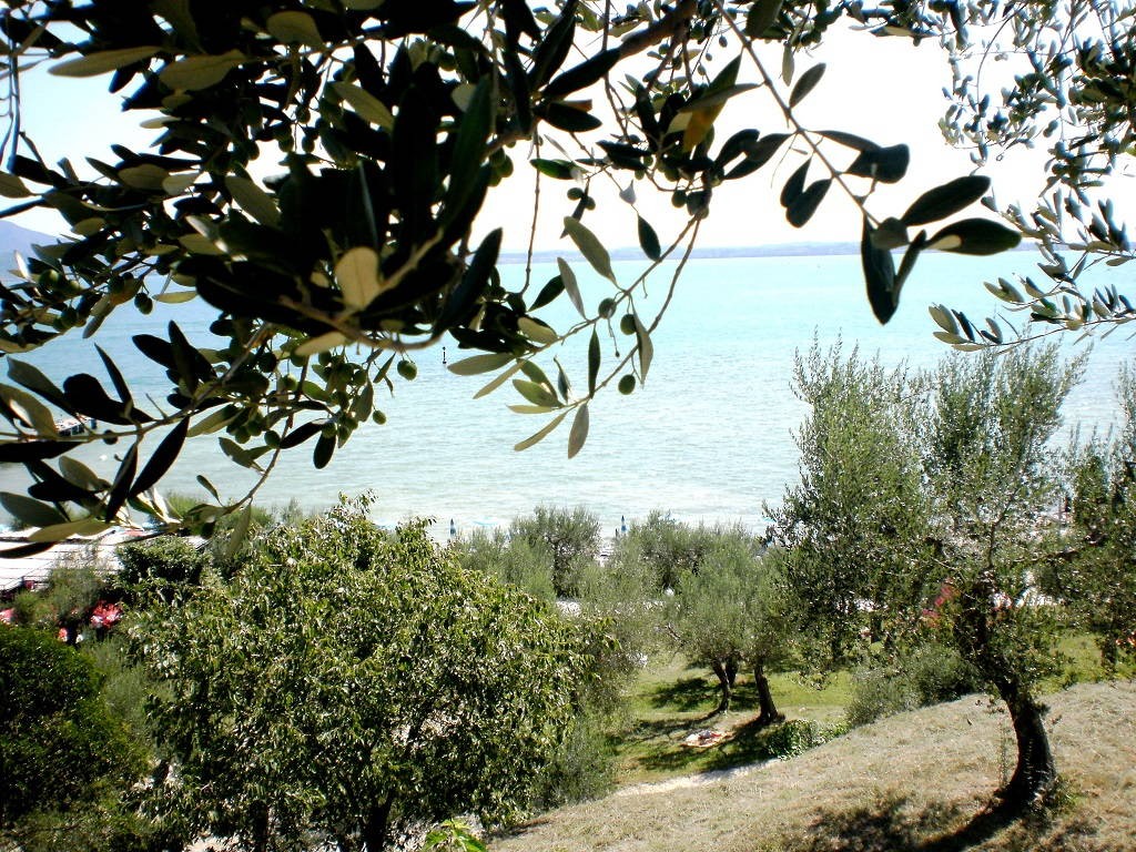 Terreno Edificabile Lago di Garda