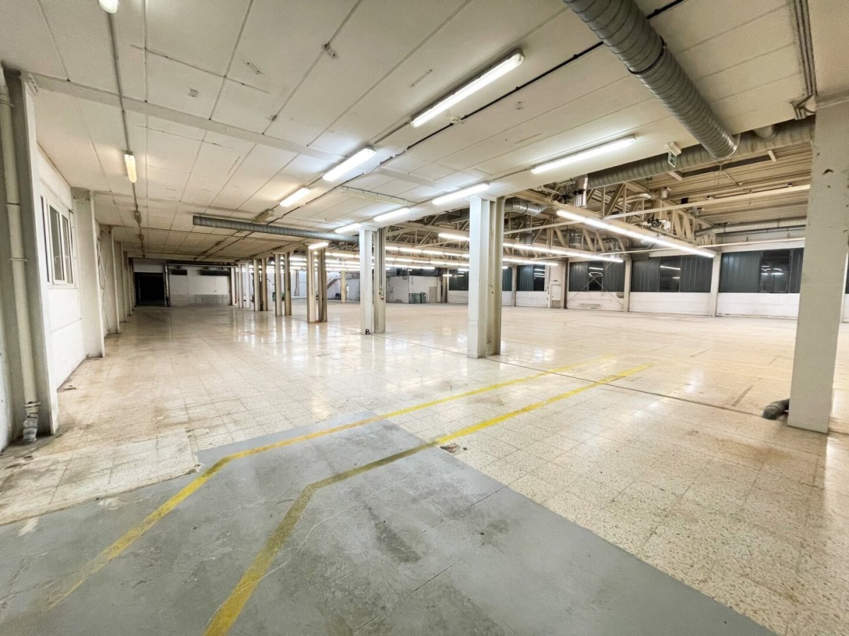 KAUF!  3000 m² - 3500m² !! Halle - Produktion- Lagerfläche plus 600m² Bürofläche  in Kramsach