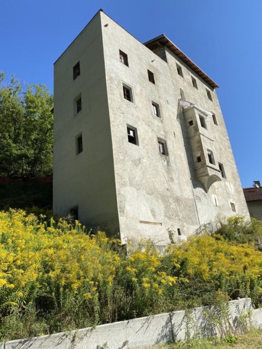 Charaktervolles  Schloss mit 7 Wohnungen teilsaniert