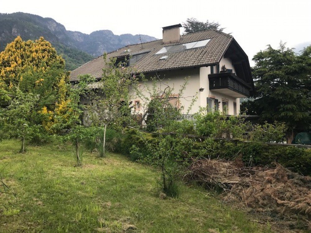 Freistehendes Haus im landwirtschaftlichem Grün - 1200m² Grund